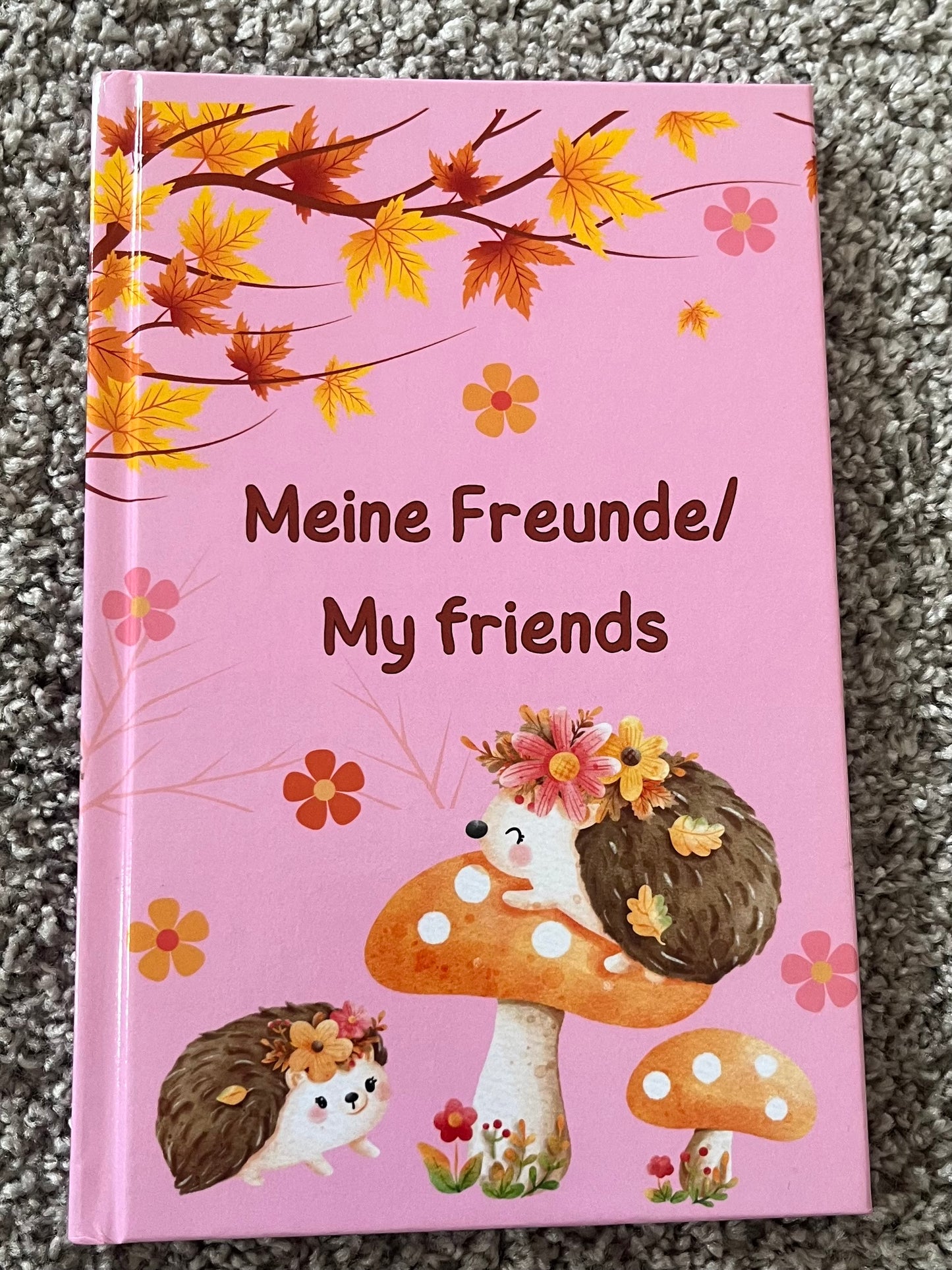 Freundebuch - Deutsch-Englisch
